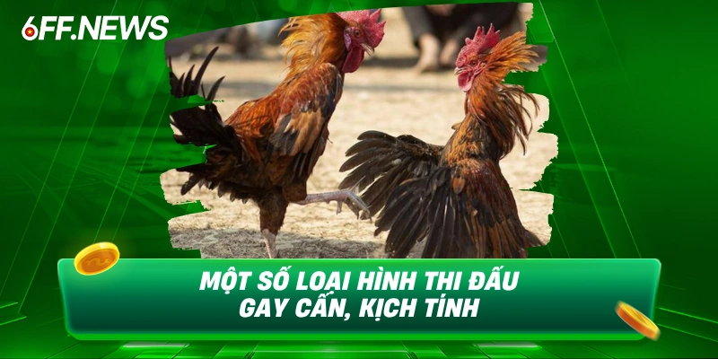 Một số loại hình thi đấu gay cấn, kịch tính